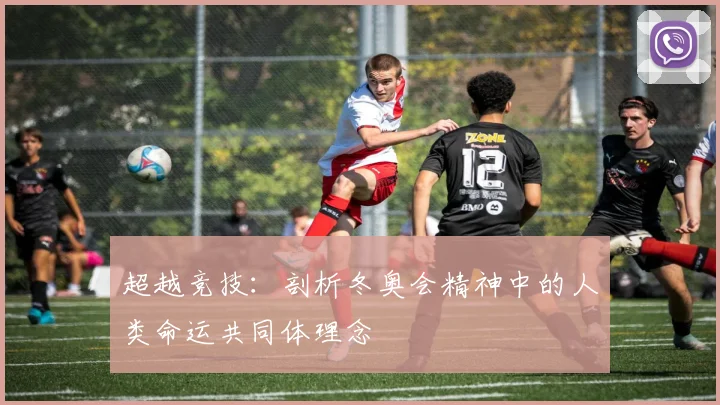 超越竞技:剖析冬奥会精神中的人类命运共同体理念